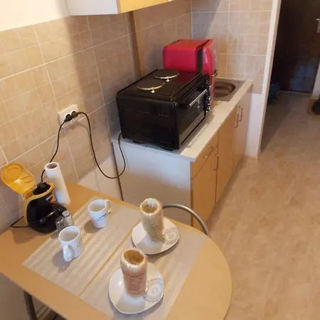 Morning Star Apartment Sfantu Gheorghe  Exterior photo